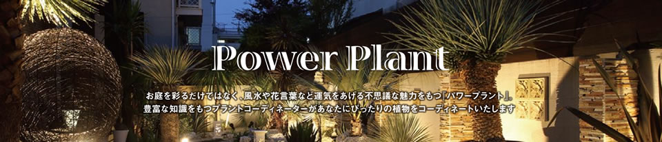 お庭を彩るだけではなく、風水や花言葉など運気をあげる不思議な魅力をもつ『パワープラント』。豊富な知識をもつプラントコーディネーターがあなたにぴったりの植物をコーディネートいたします