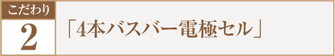 こだわり.2 「4本バズバー電極セル」